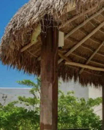 Niwa Tulum Hotel
